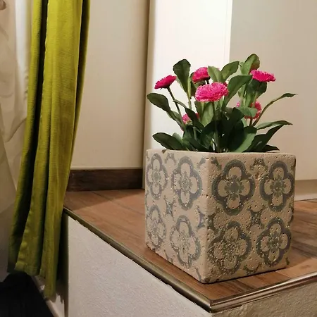 Il Murice Отель типа 