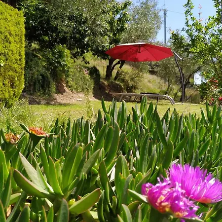 Il Murice Bed & Breakfast Vezzano Ligure